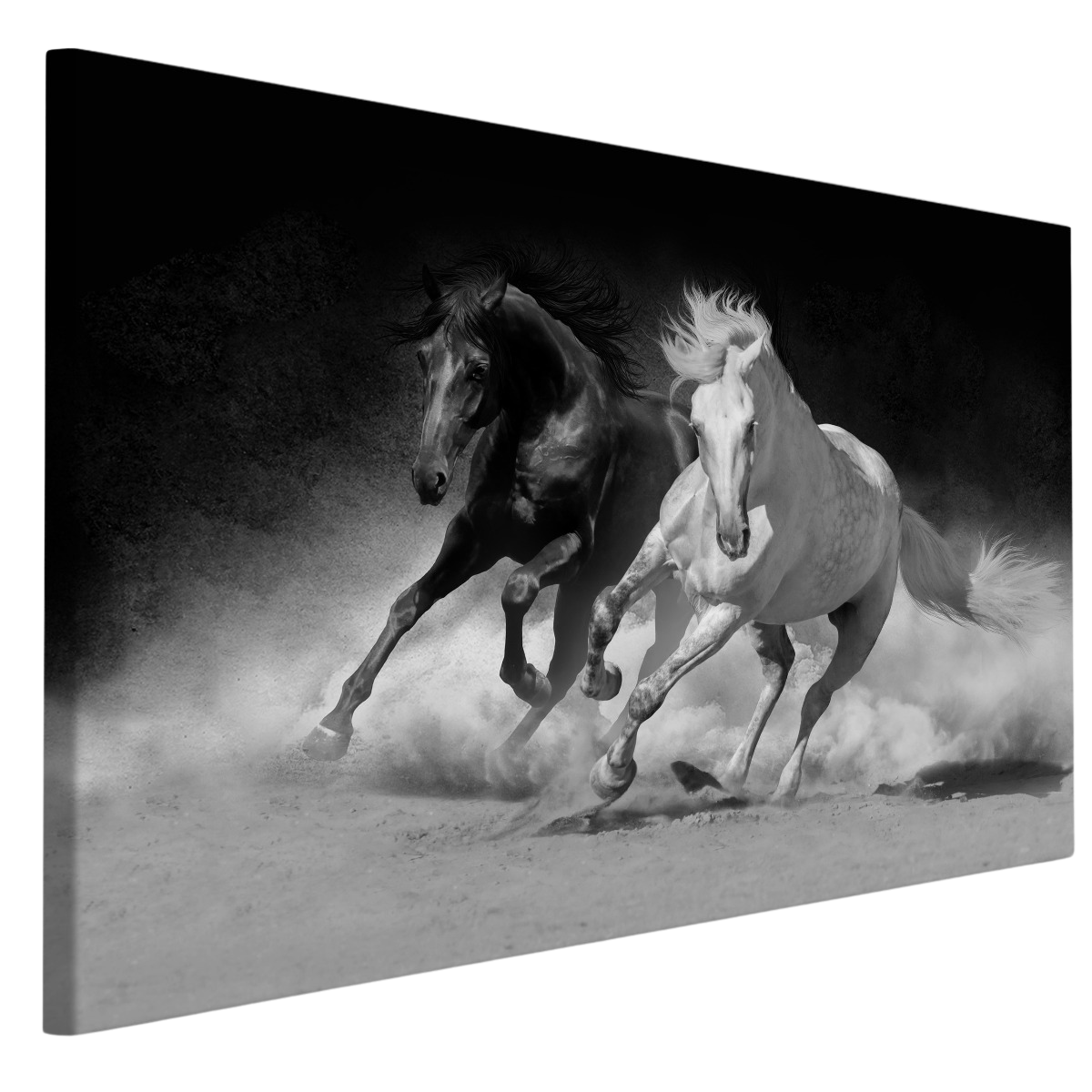 obraz_na_platne_ciernobiele_kone_a